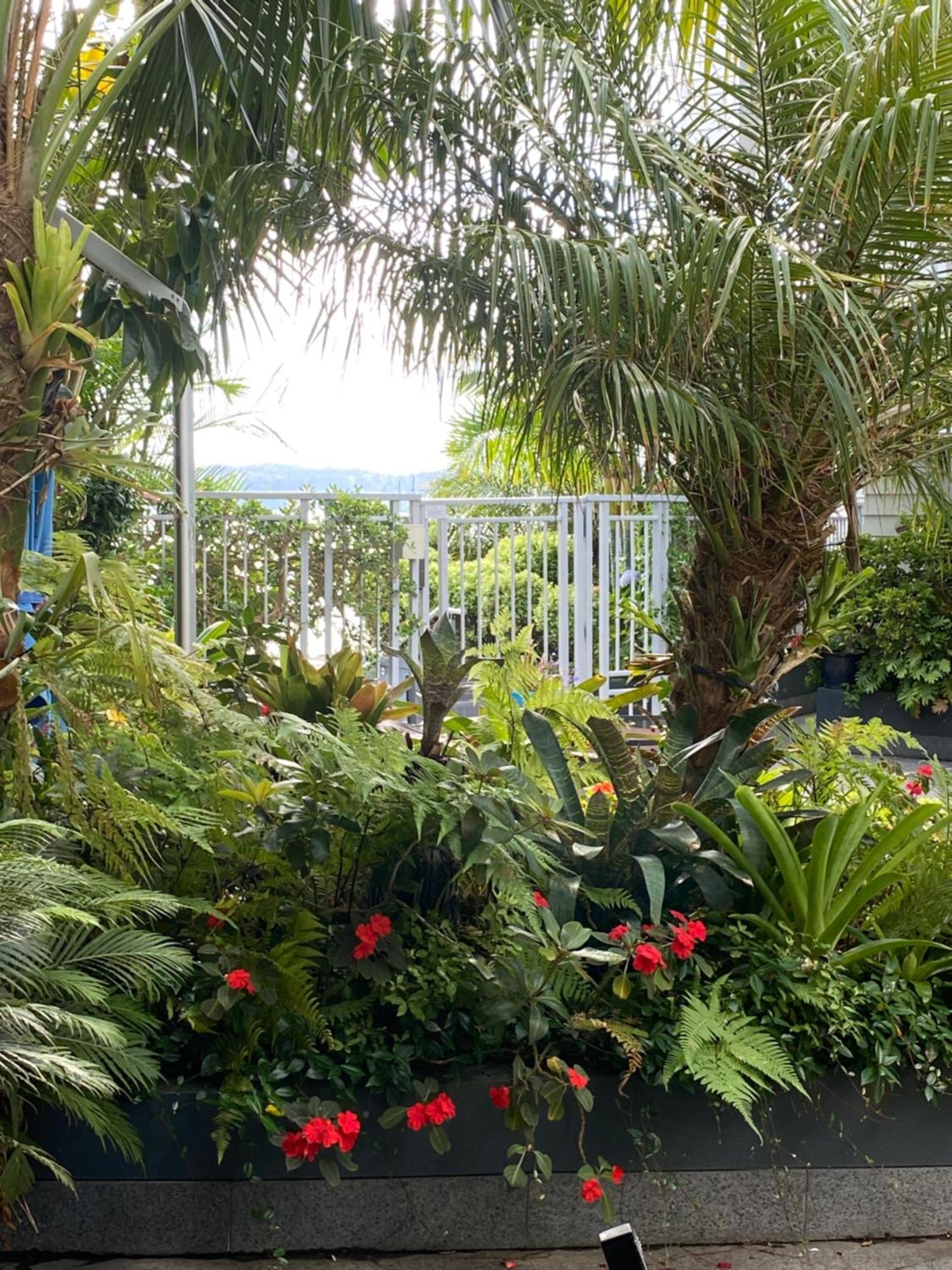 Apartamento By The Sea Paihia Exterior foto